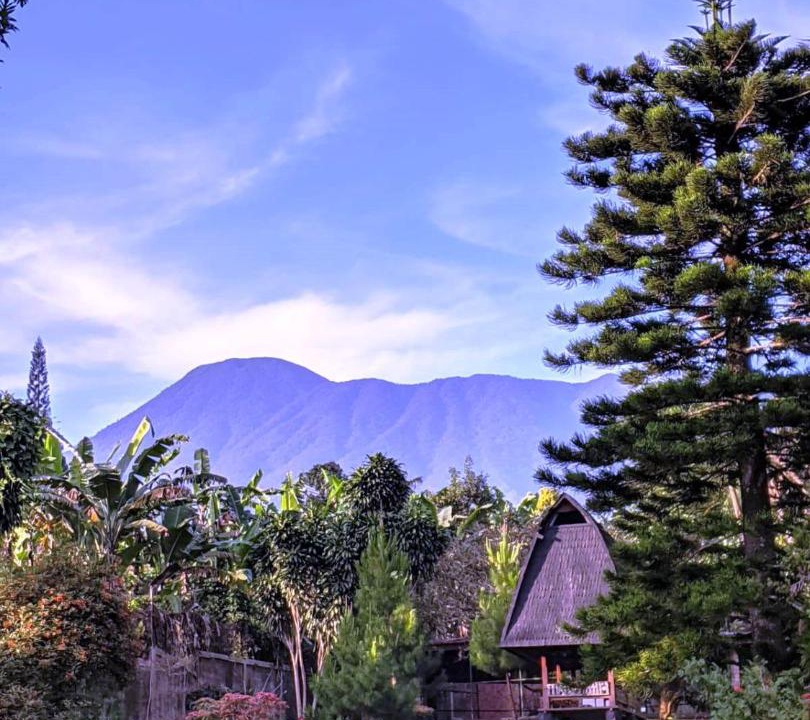 Photo of Others in Bogor Tengah
