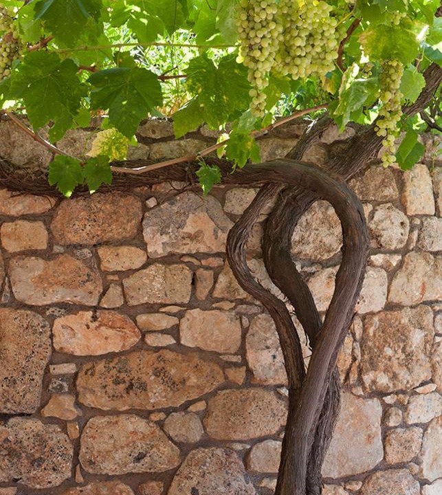 Photo of Others in Kardamyli