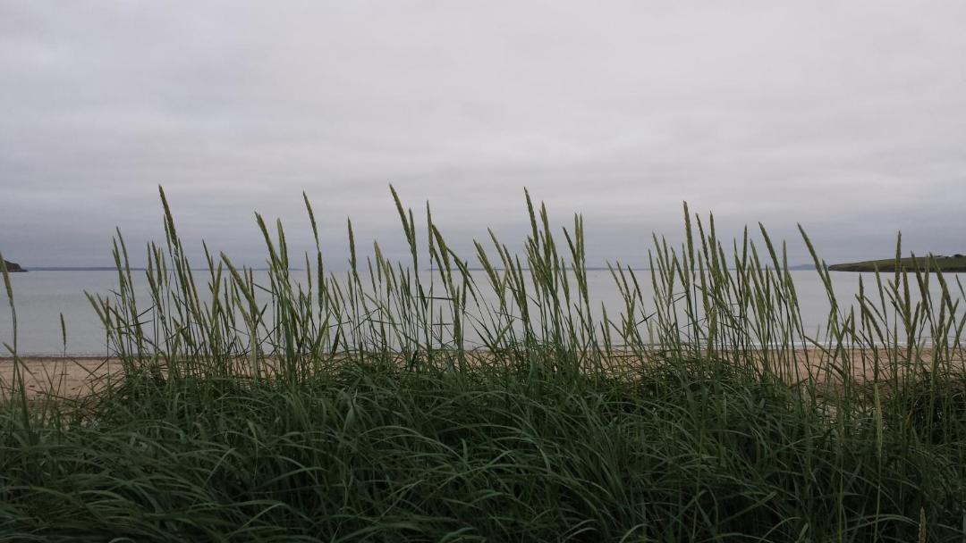 Photo of Others in Kirkwall