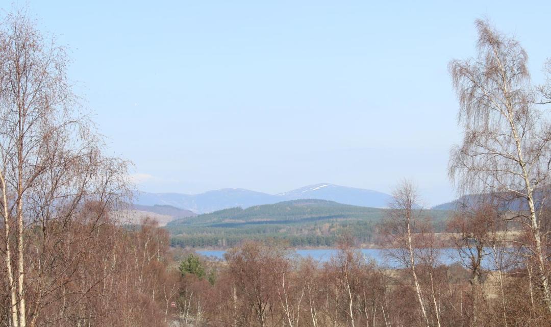 Photo of Others in Kingussie