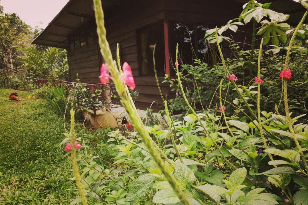 Photo of Outdoor in Vieja