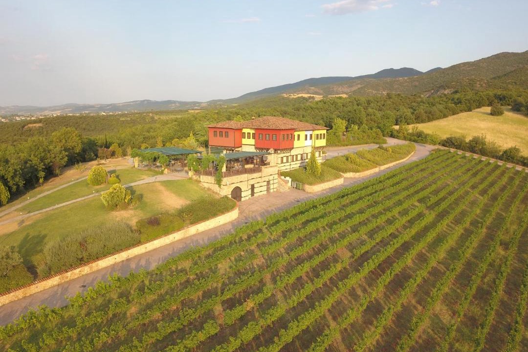 Photo of Others in Vergina