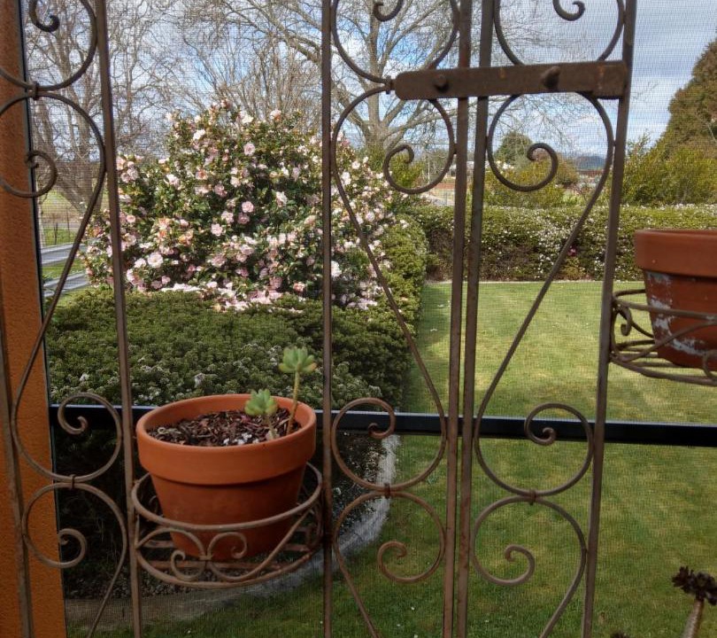 Photo of Patio Balcony in Barrington