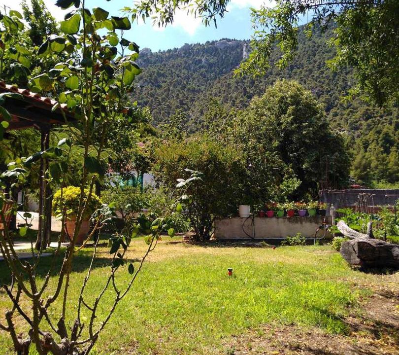 Photo of Outdoor in Pisia