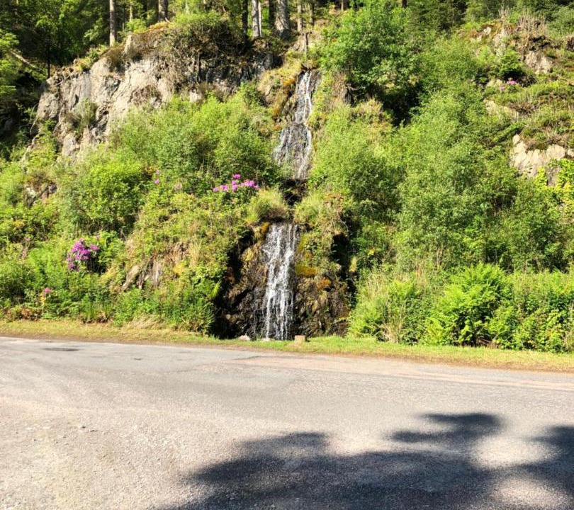 Photo of Outdoor in Ardentinny