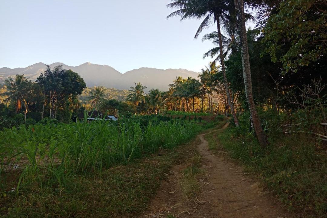 Photo of Others in Lombok