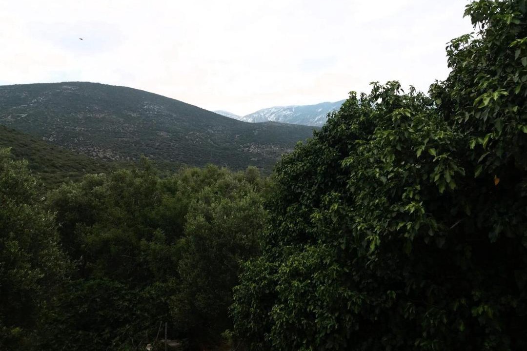 Photo of Others in Mazarakata