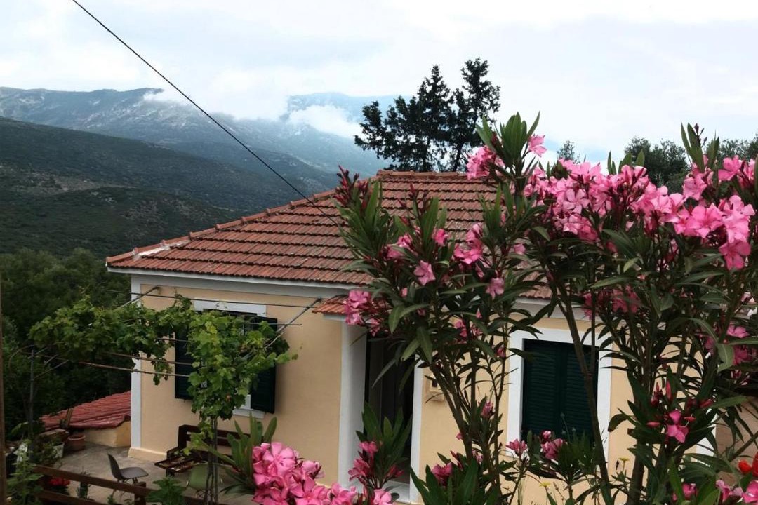 Photo of Buildings in Mazarakata