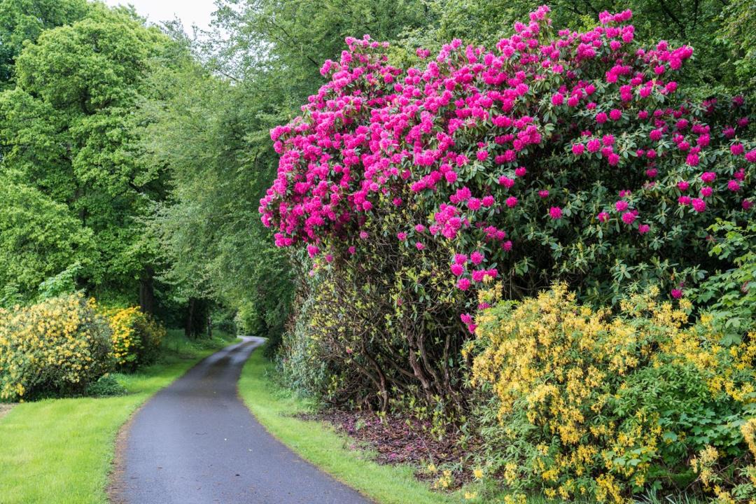 Photo of Outdoor in Stirling
