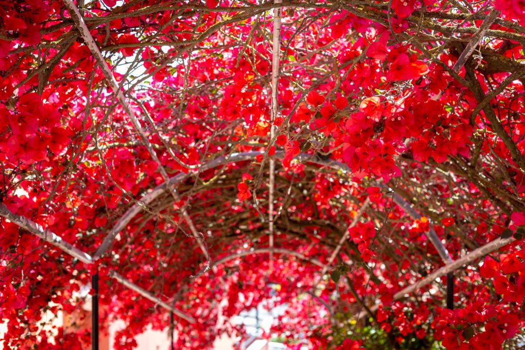 Photo of Others in Lakones