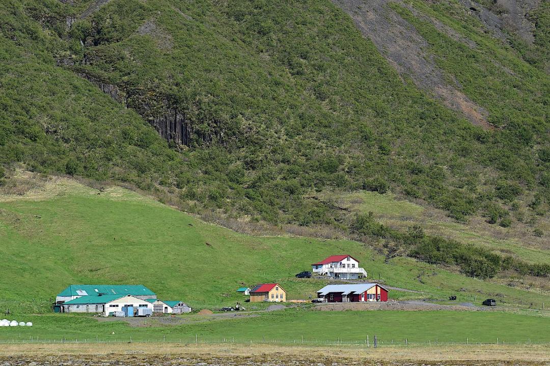 Photo of Others in Svinafell