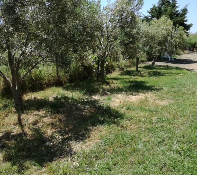 Photo of Outdoor in Sithonia