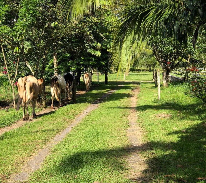 Photo of Others in Valle Azul