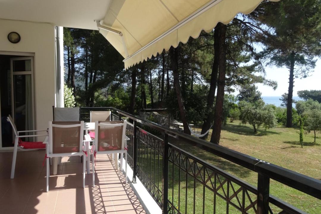 Photo of Others in Thasos