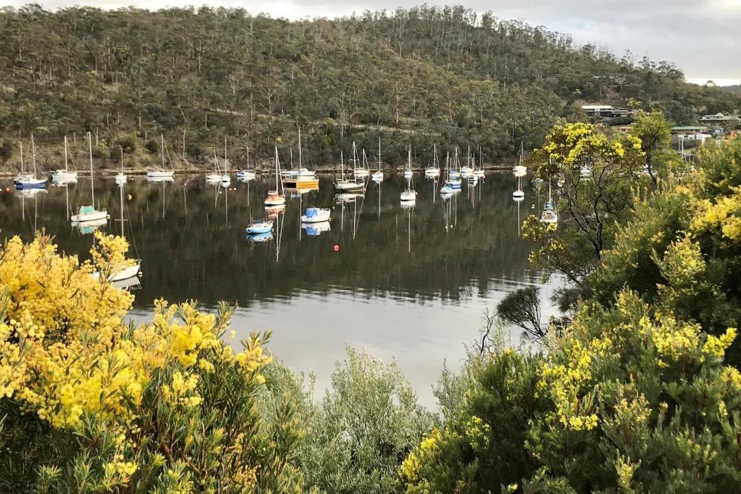 Photo of Others in Geilston Bay
