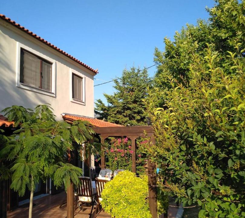 Photo of Buildings in Pisia