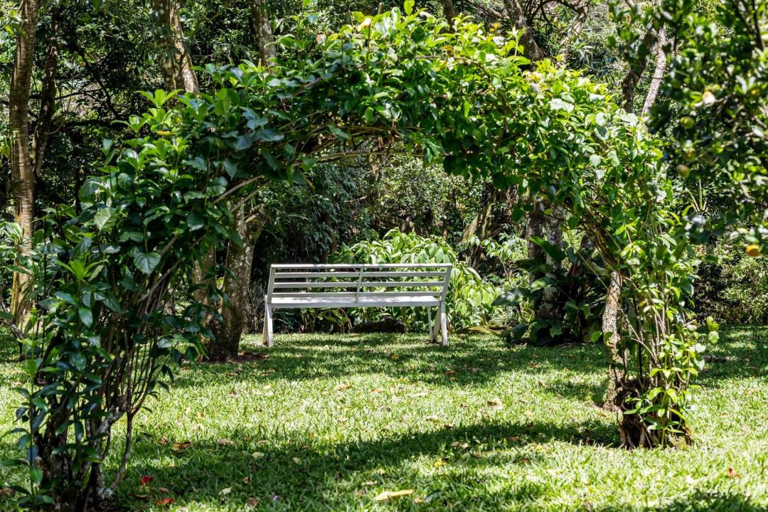 Photo of Outdoor in San Roque