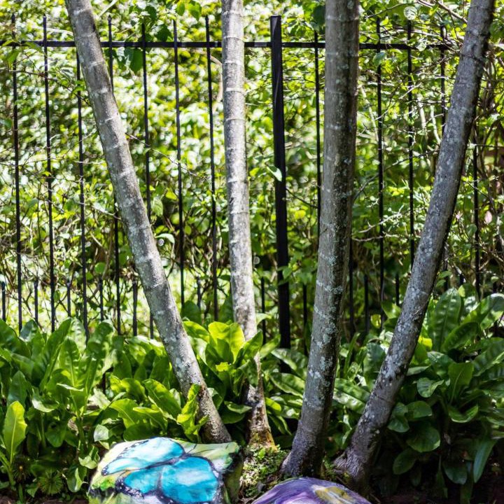 Photo of Outdoor in San Roque