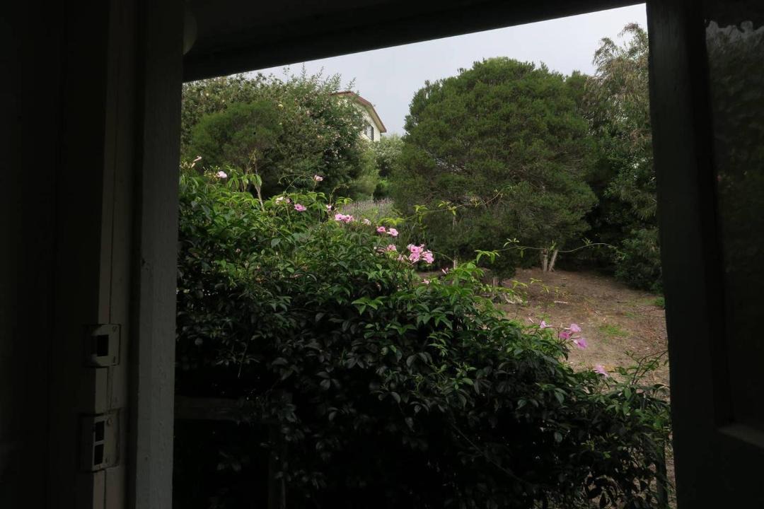 Photo of Others in Binalong Bay