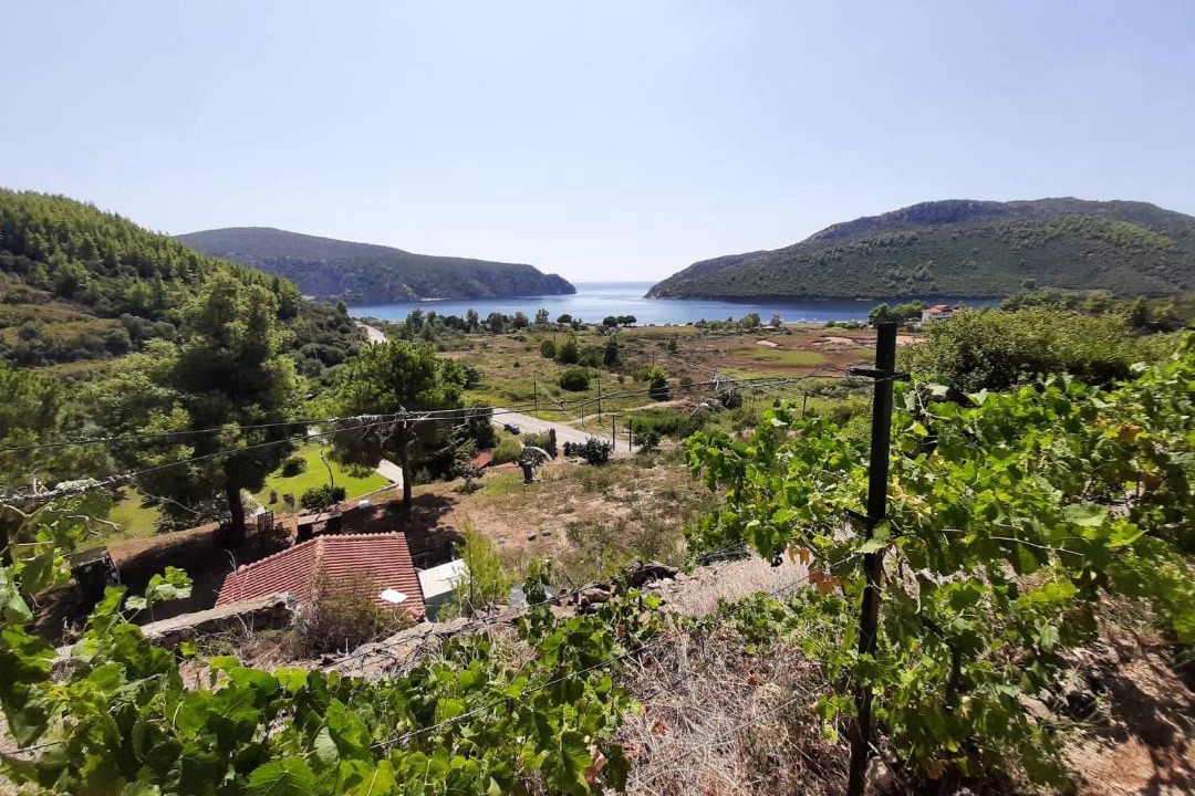 Photo of Outdoor in Porto Koufo