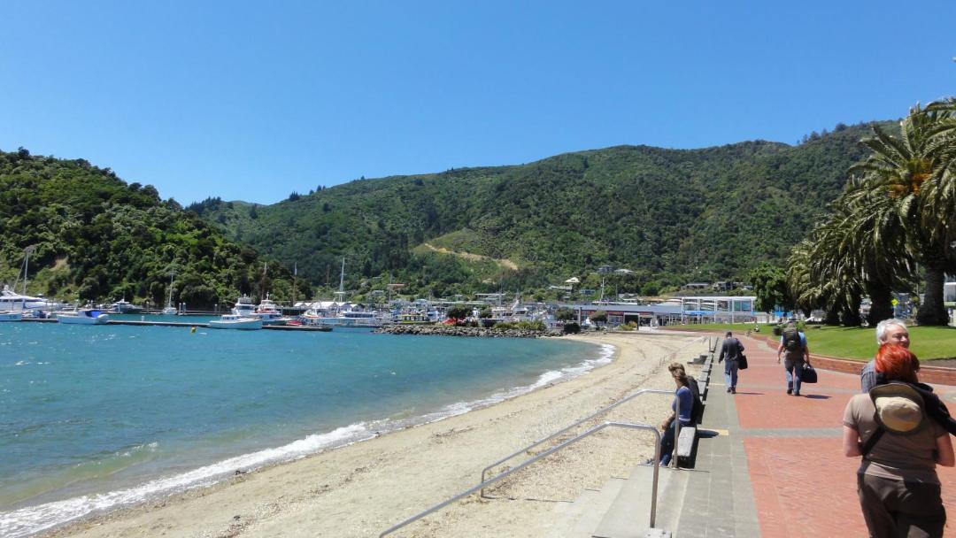 Photo of Others in Picton