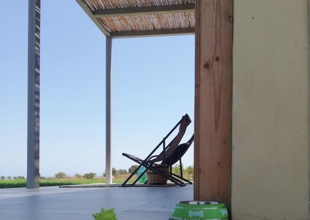 Photo of Others in Noto