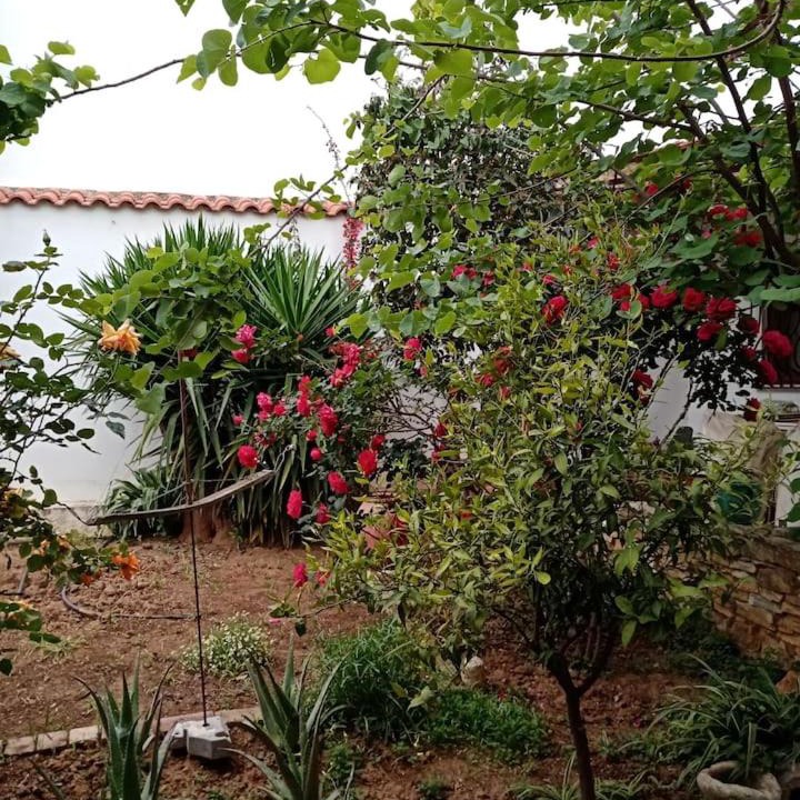 Photo of Others in Paiania
