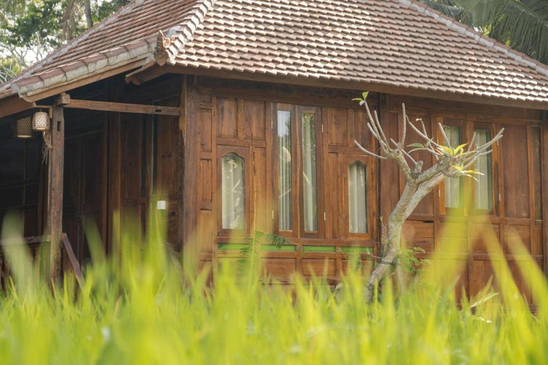 Photo of Buildings in Melayang
