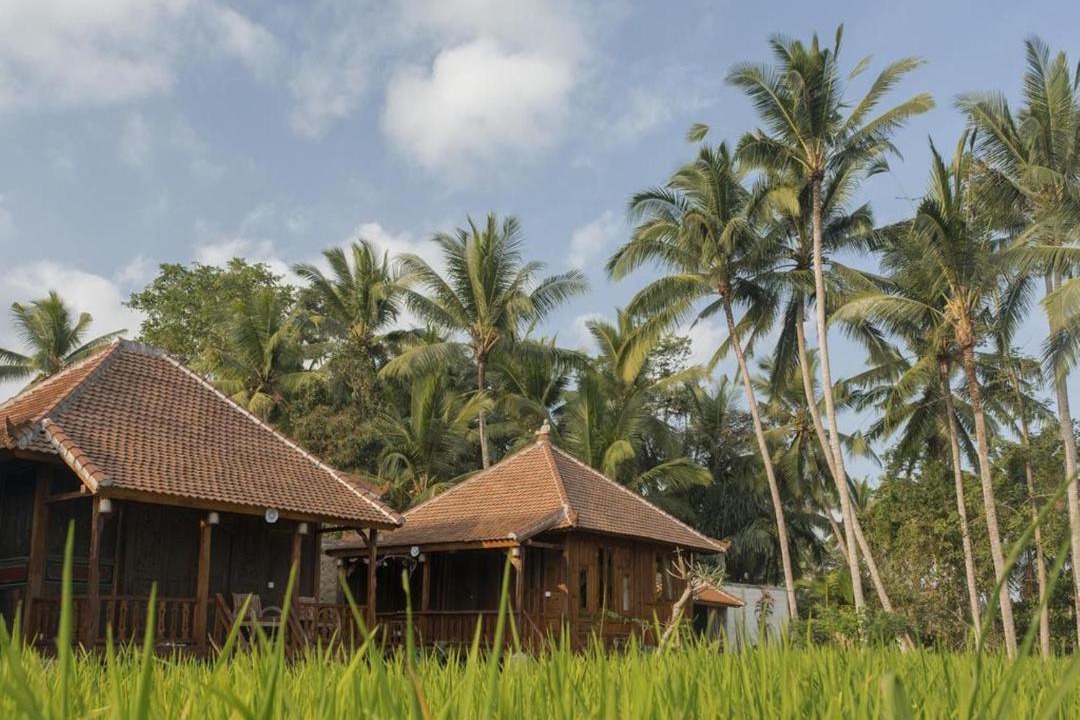 Photo of Buildings in Melayang