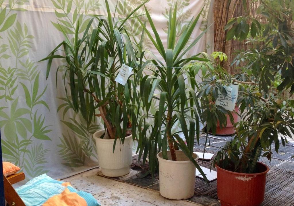 Photo of Patio Balcony in Neapoli