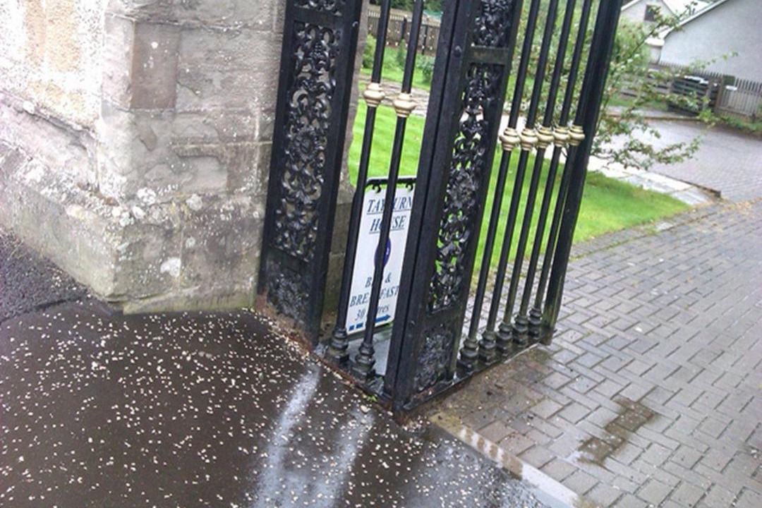 Photo of Others in Birnam