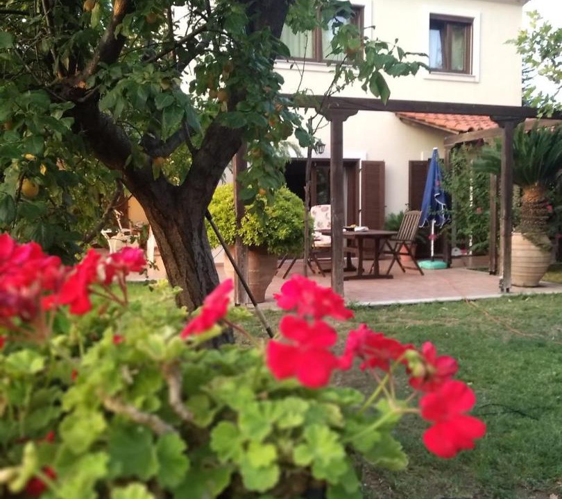 Photo of Others in Pisia