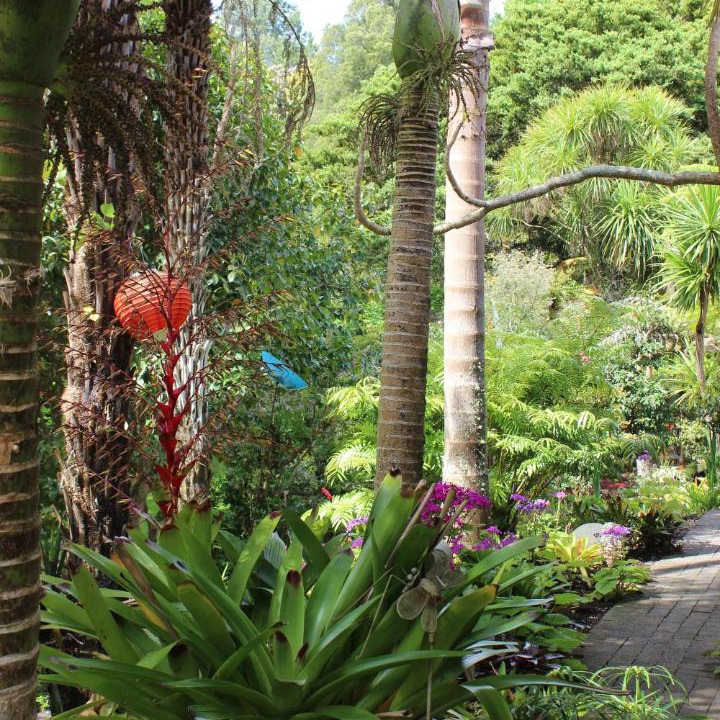 Photo of Others in Whangarei