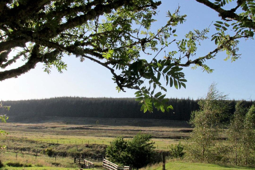 Photo of Outdoor in Biggar