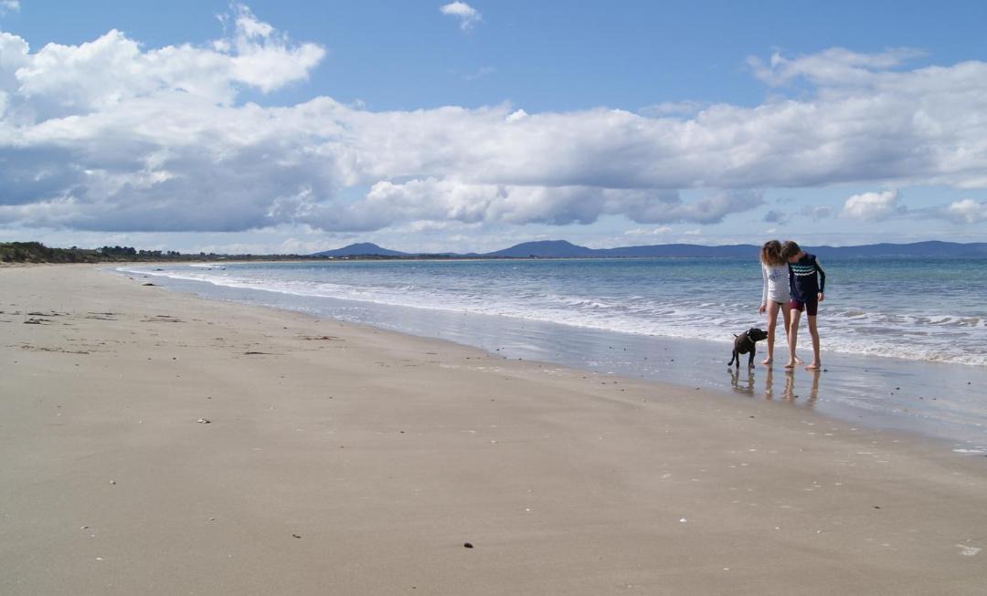 Photo of Others in Dolphin Sands