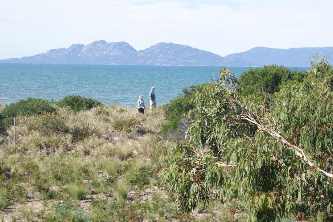 Photo of Others in Dolphin Sands