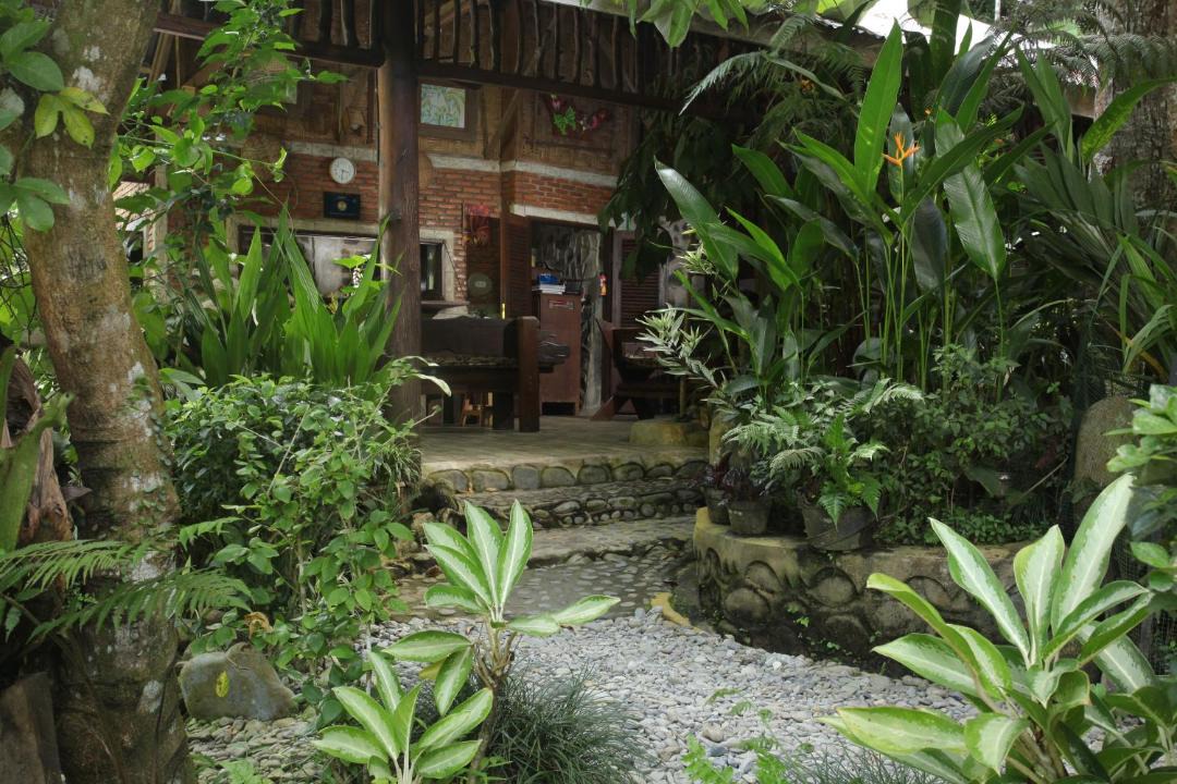 Photo of Others in Bukit Lawang