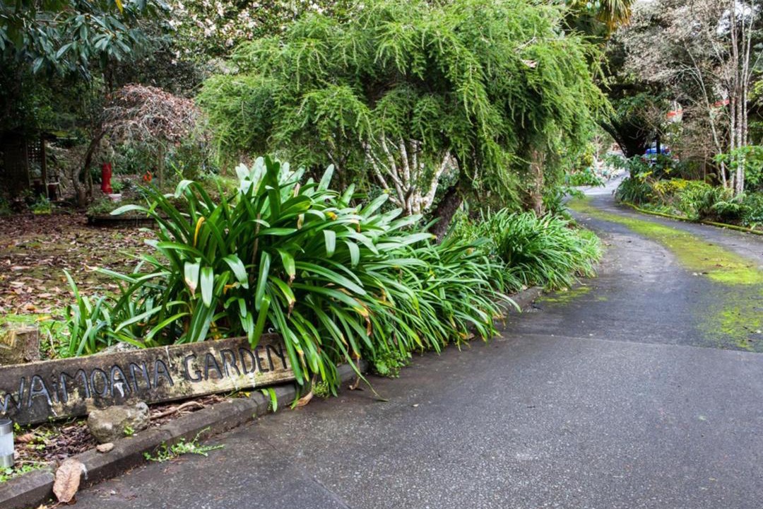 Photo of Others in Whangarei