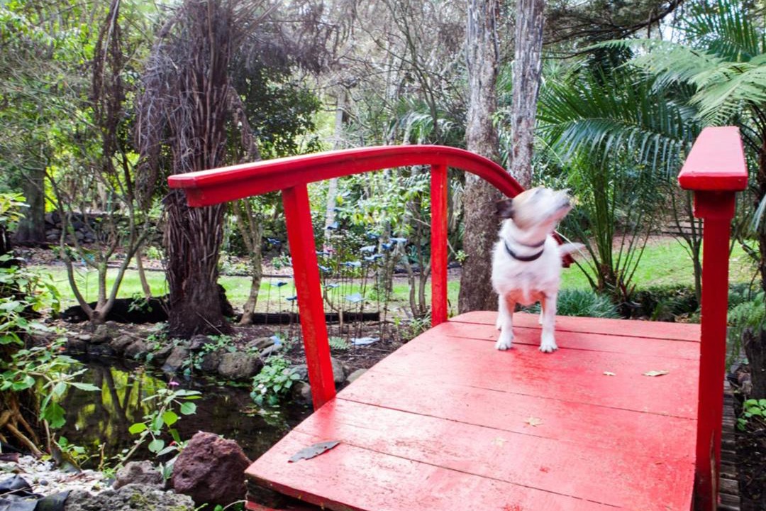 Photo of Others in Whangarei