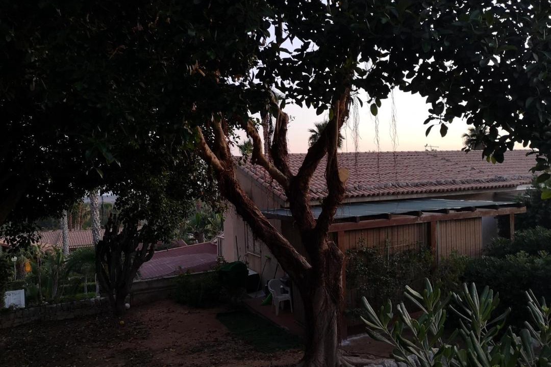 Photo of Buildings in Ragusa