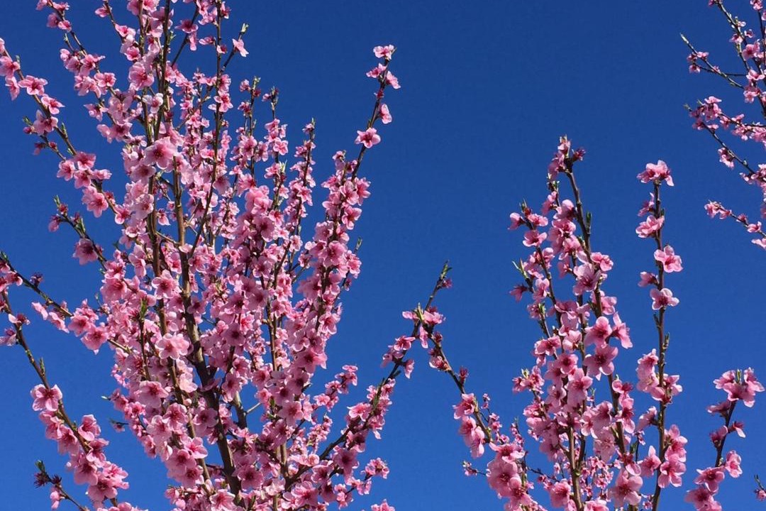 Photo of Outdoor in Bendigo