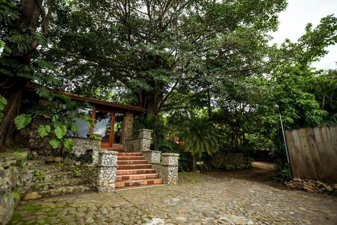 Photo of Others in Santa Teresa