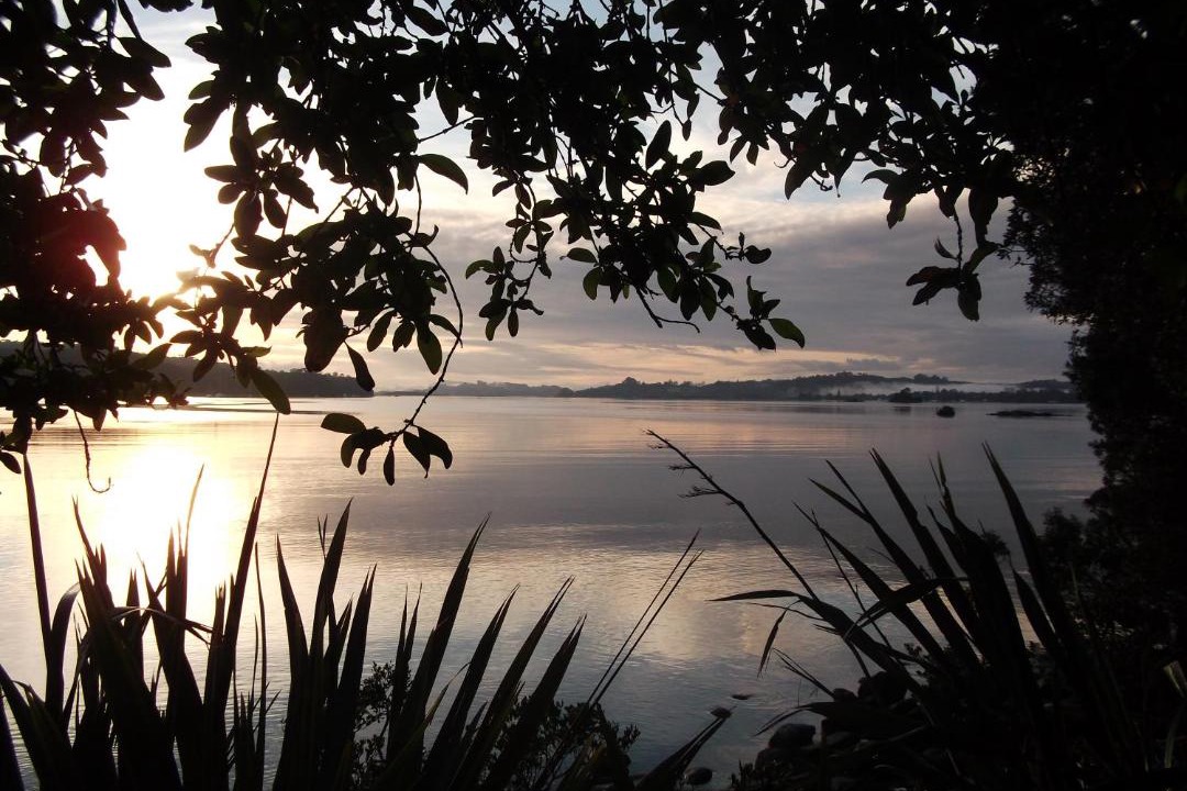 Photo of Others in Kerikeri