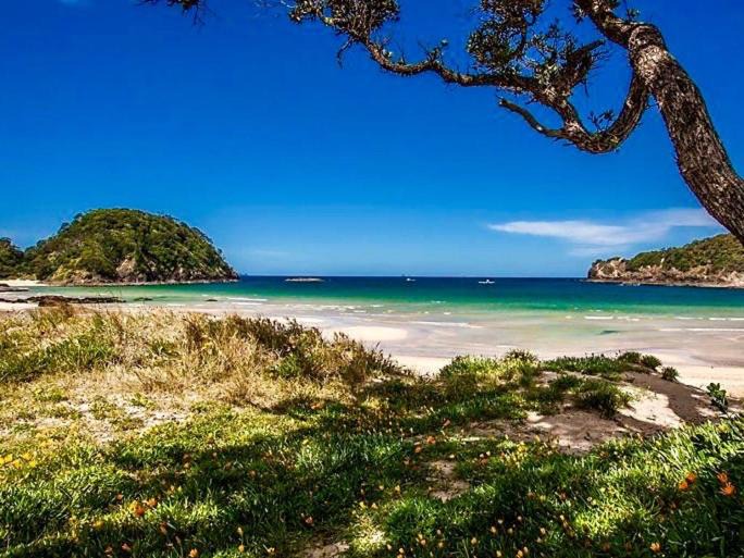 Photo of Outdoor in Matapouri