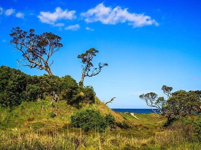 Photo of Outdoor in Matapouri