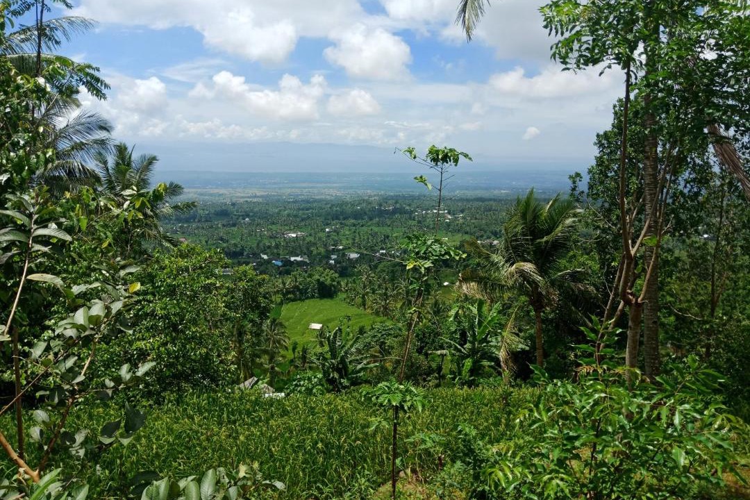 Photo of Others in Lombok