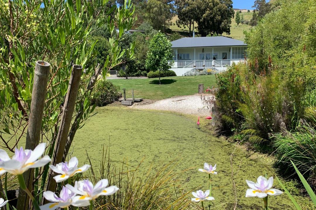 Photo of Others in Havelock North