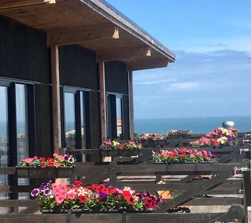 Photo of Patio Balcony in Papatotara