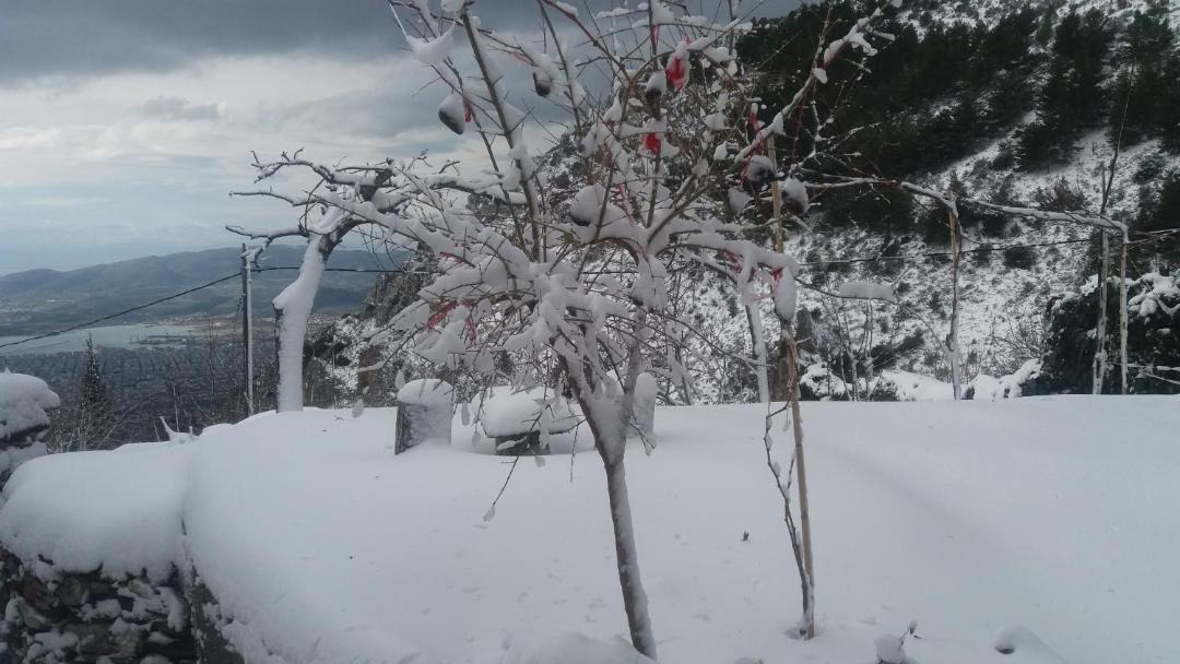 Photo of Others in Makrynitsa