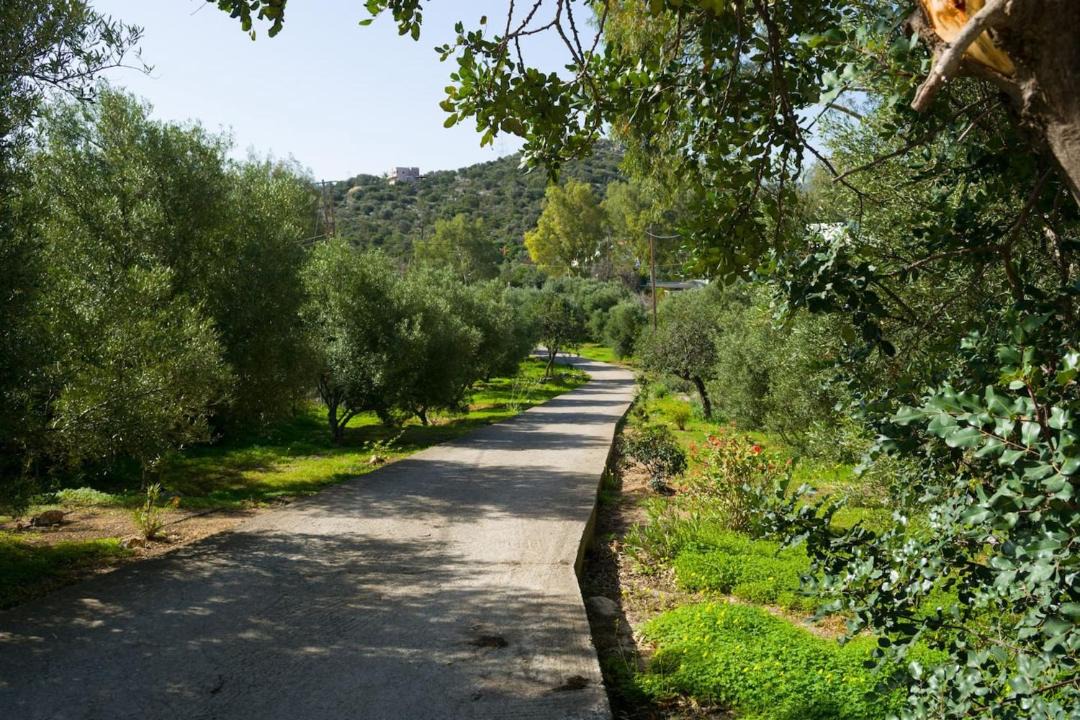 Photo of Outdoor in Almyros